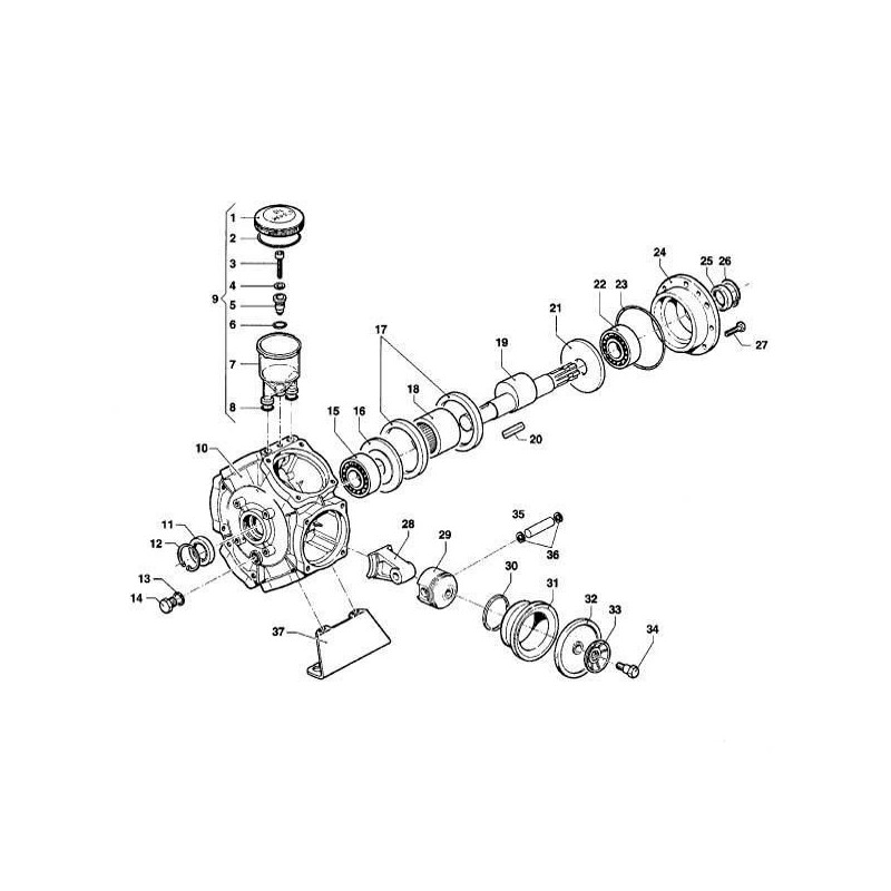 SWORZEŃ TŁOKA BP-125 3011000100 Ý15*53