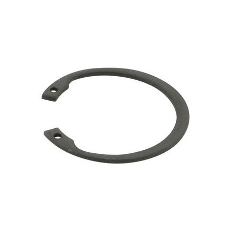 PIERŚCIEŃ SEGERA  48 W