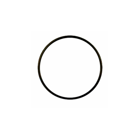 ORING 126.4 * 7  (316000.050)