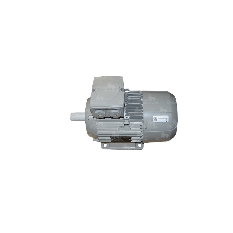 SILNIK 2.5KW SG 100L-4A U1230 M25.0