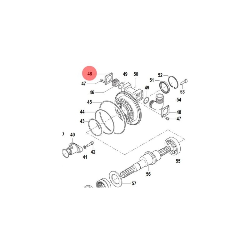 DOCISK KRÓĆCA SSĄCEGO APS 2404013500A  00071-01775