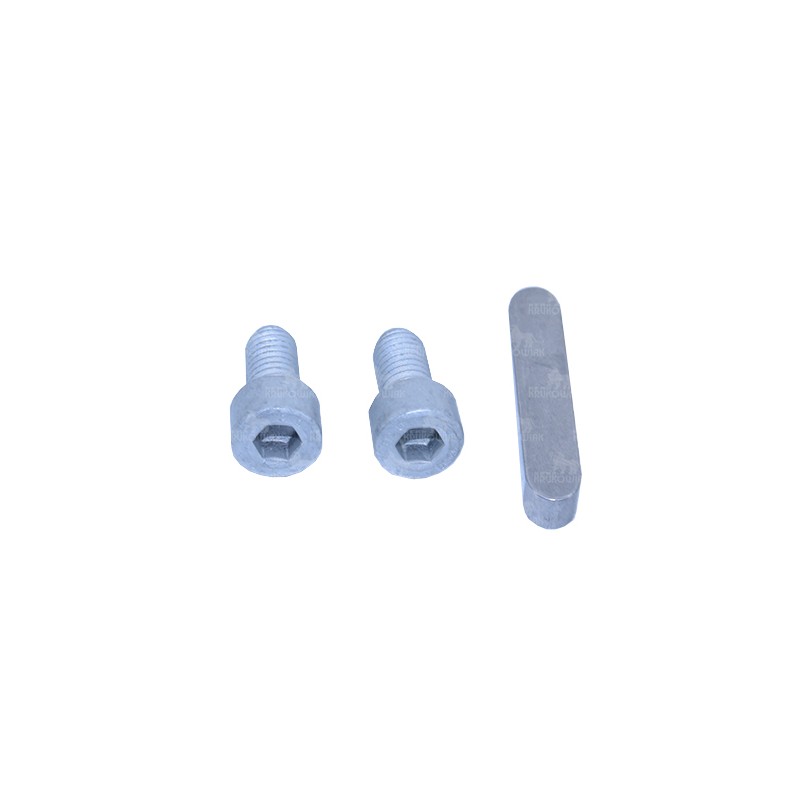 POMPA BP 300 6136000300