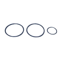 POMPA BP 300 6136000300