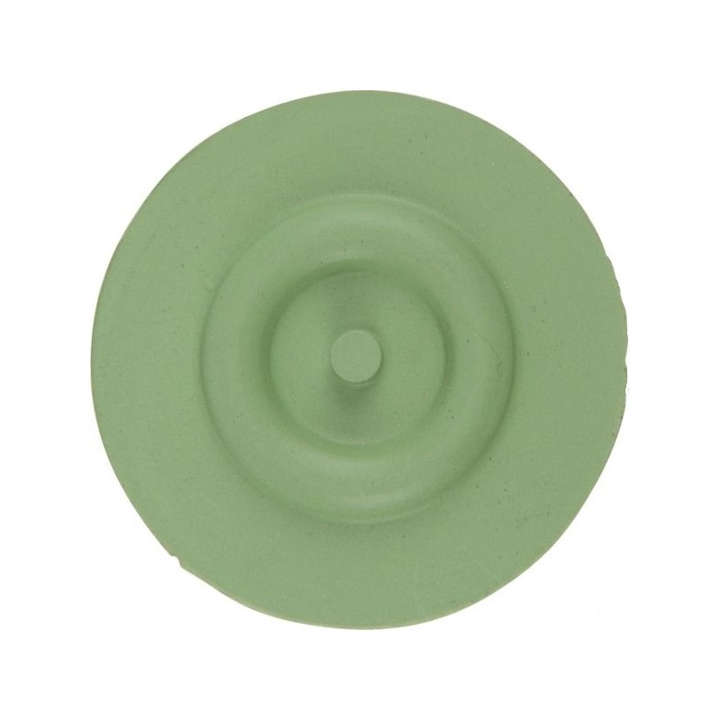 MEMBRANKA ZAW.ODC.SELETRON 4246000.220V