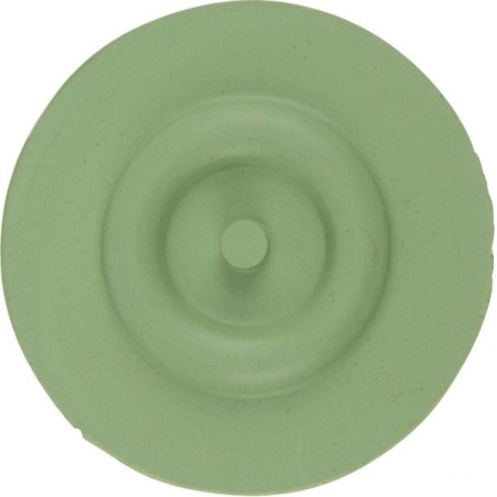 MEMBRANKA ZAW.ODC.SELETRON 4246000.220V