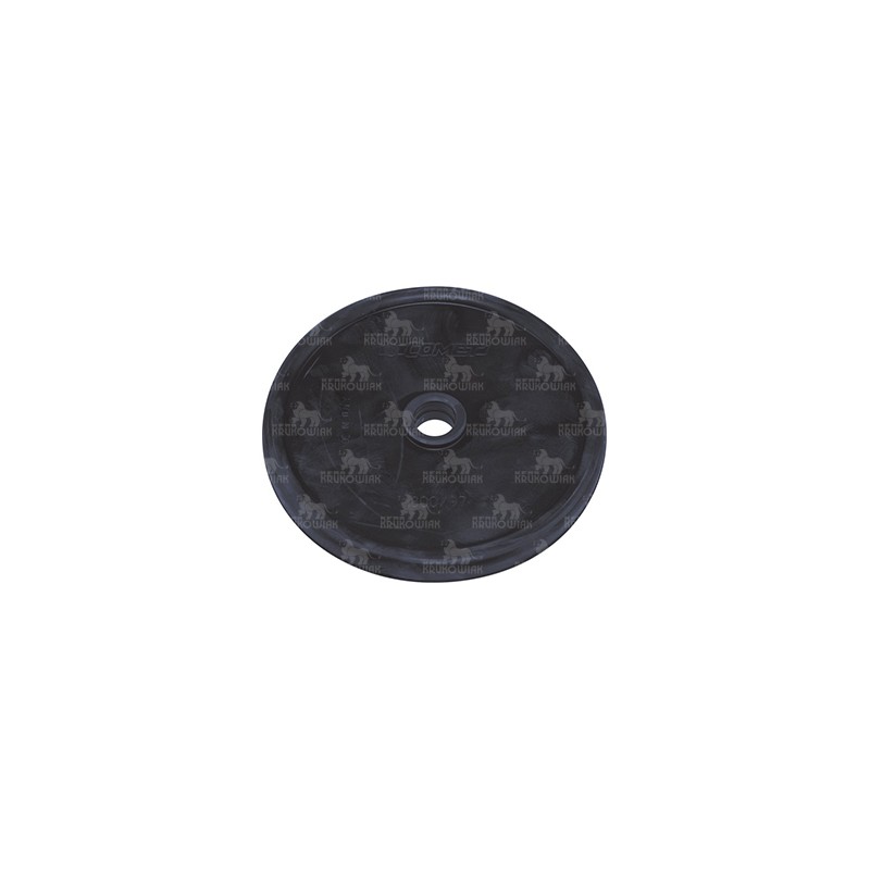 MEMBRANA TŁ. AP85 - AP165 1800009700