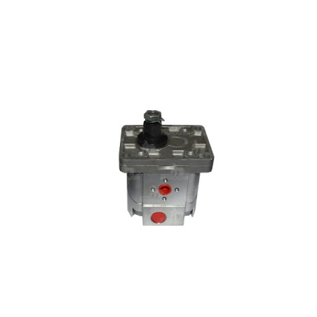 SILNIK HYDRAULICZNY 2SM A 6 D W-10N VA