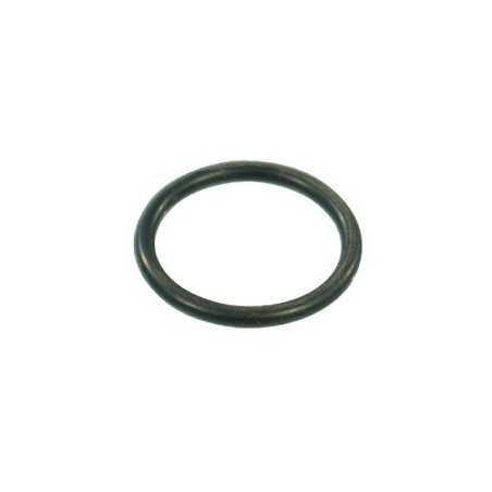 ORING 20.24*2.62 G10041 EPDM