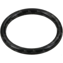 ORING 25.07*2,62  G11058 EPDM