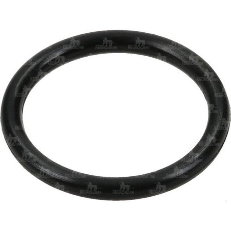 ORING 25.07*2,62  G11058 EPDM