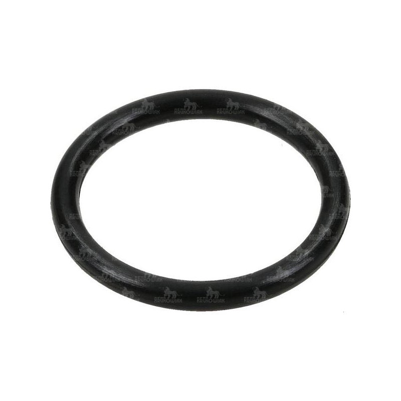 ORING 29.82*2.62  G11059 EPDM