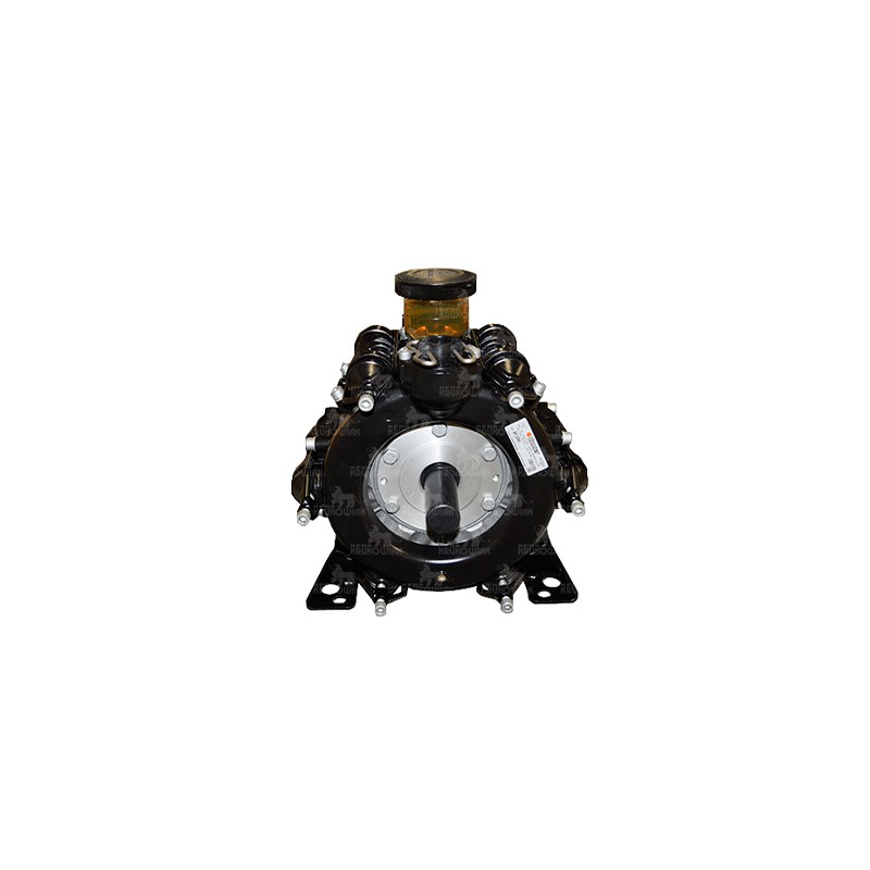 POMPA BP 205K GUM.  6104100200 wał 2*wielofrez  30024-00003