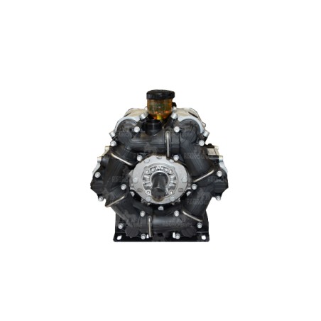 POMPA BPS 300 DESM. 6150000400