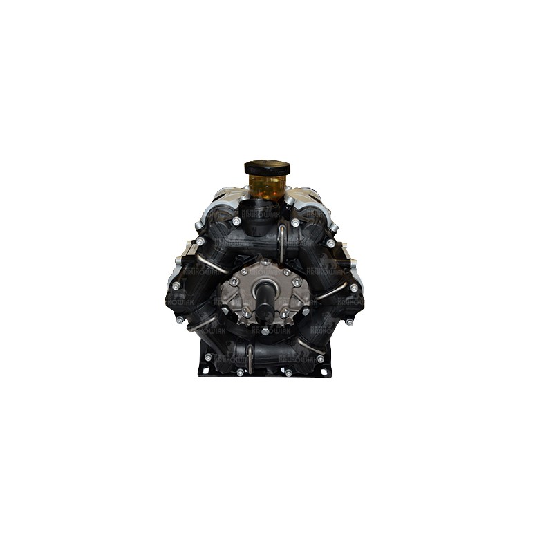 POMPA BPS 300 DESM. 6150000400