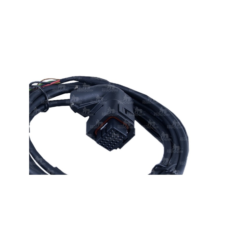 KABEL ŁĄCZĄCY DELTA 80 4675000.115