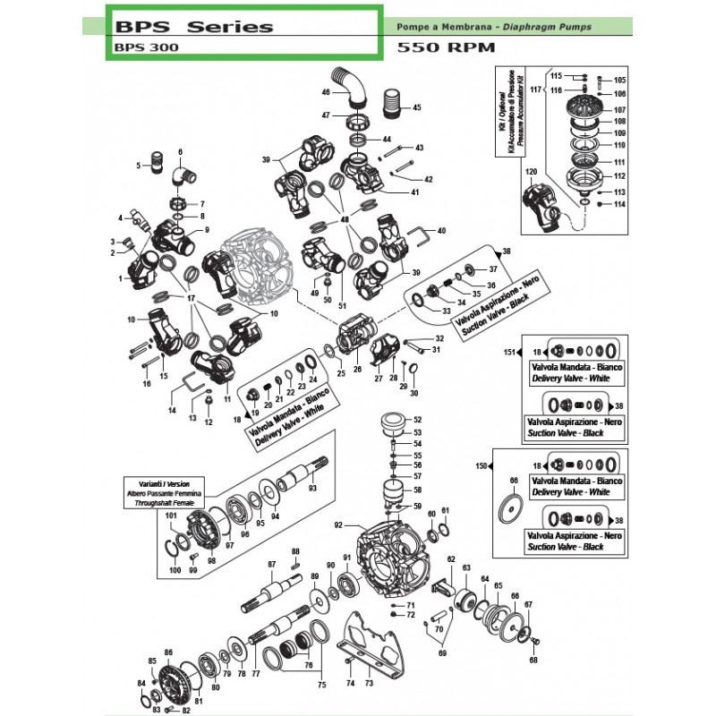WIDEŁKI KOLEKTORA POMPY BPS 300  1202008200