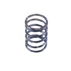 SPRĘŻYNA TŁOKA SNAP 1802017400