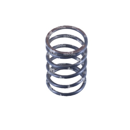 SPRĘŻYNA TŁOKA SNAP 1802017400