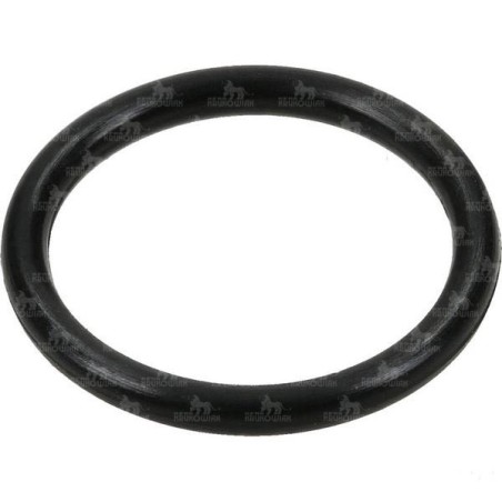 USZCZELKA 2.62*13.1*18.34 G10031V VITON