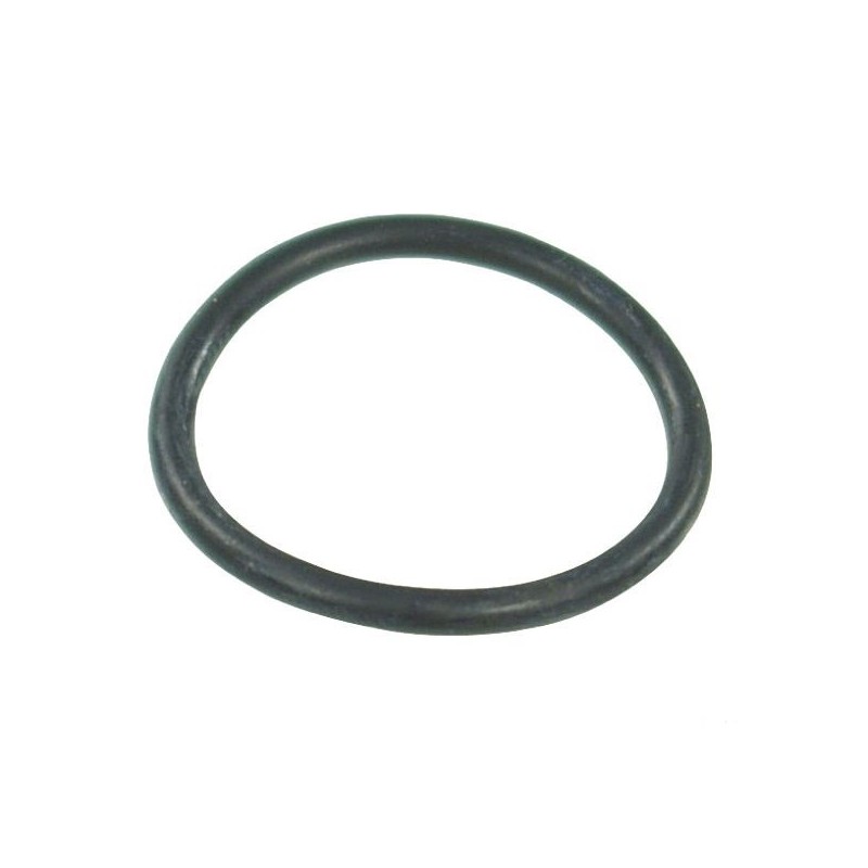ORING  3.00*29.20 G10061V VITON