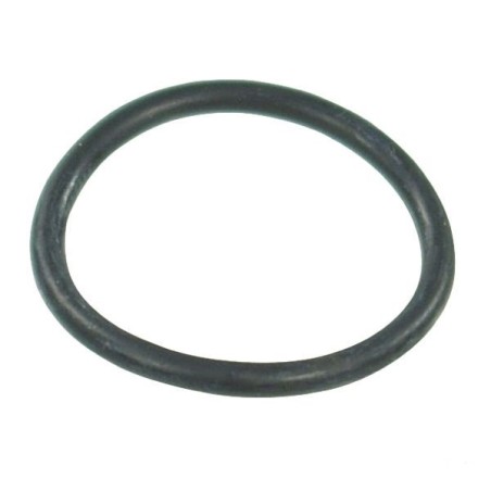 ORING  3.00*29.20 G10061V VITON